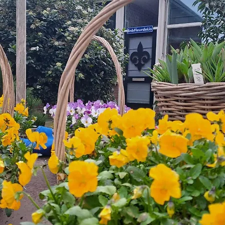 Fleurdelis