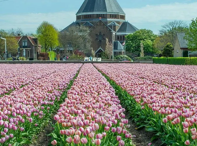 Fleurdelis Lägenhet *